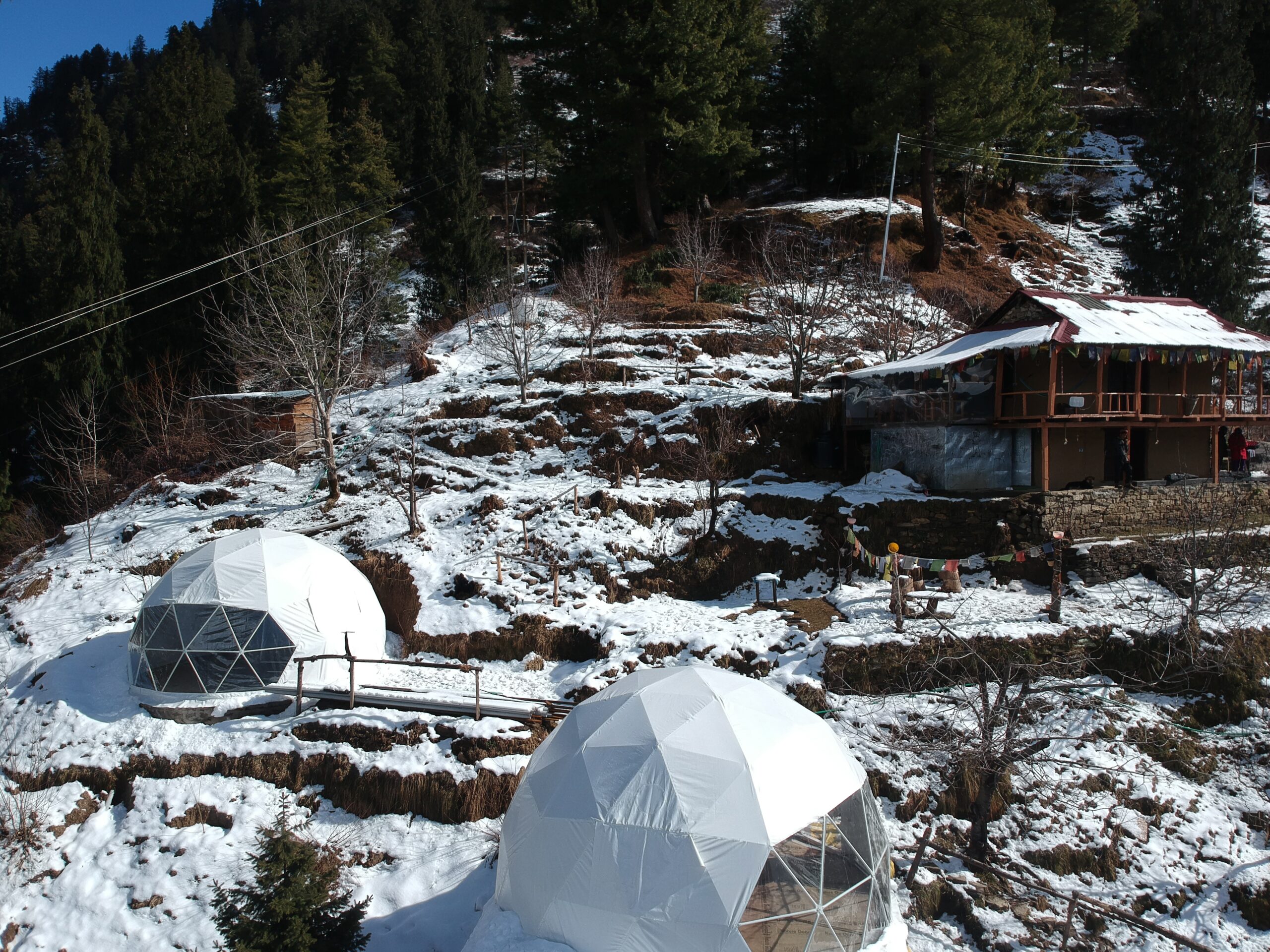 glamping propoerty in manali