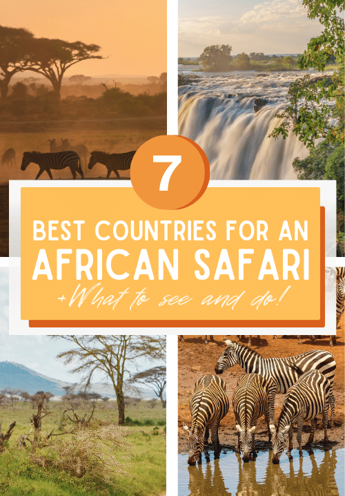 Best+African+Safari+Destinations+-+Safari+Guide+-+Best+Countries+in+Africa+to+Go+on+a+Safari+Pin