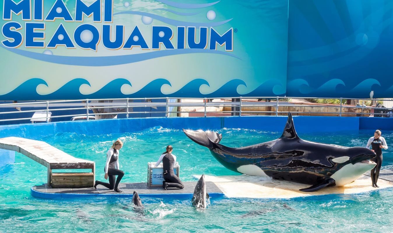 Miami Seaquarium