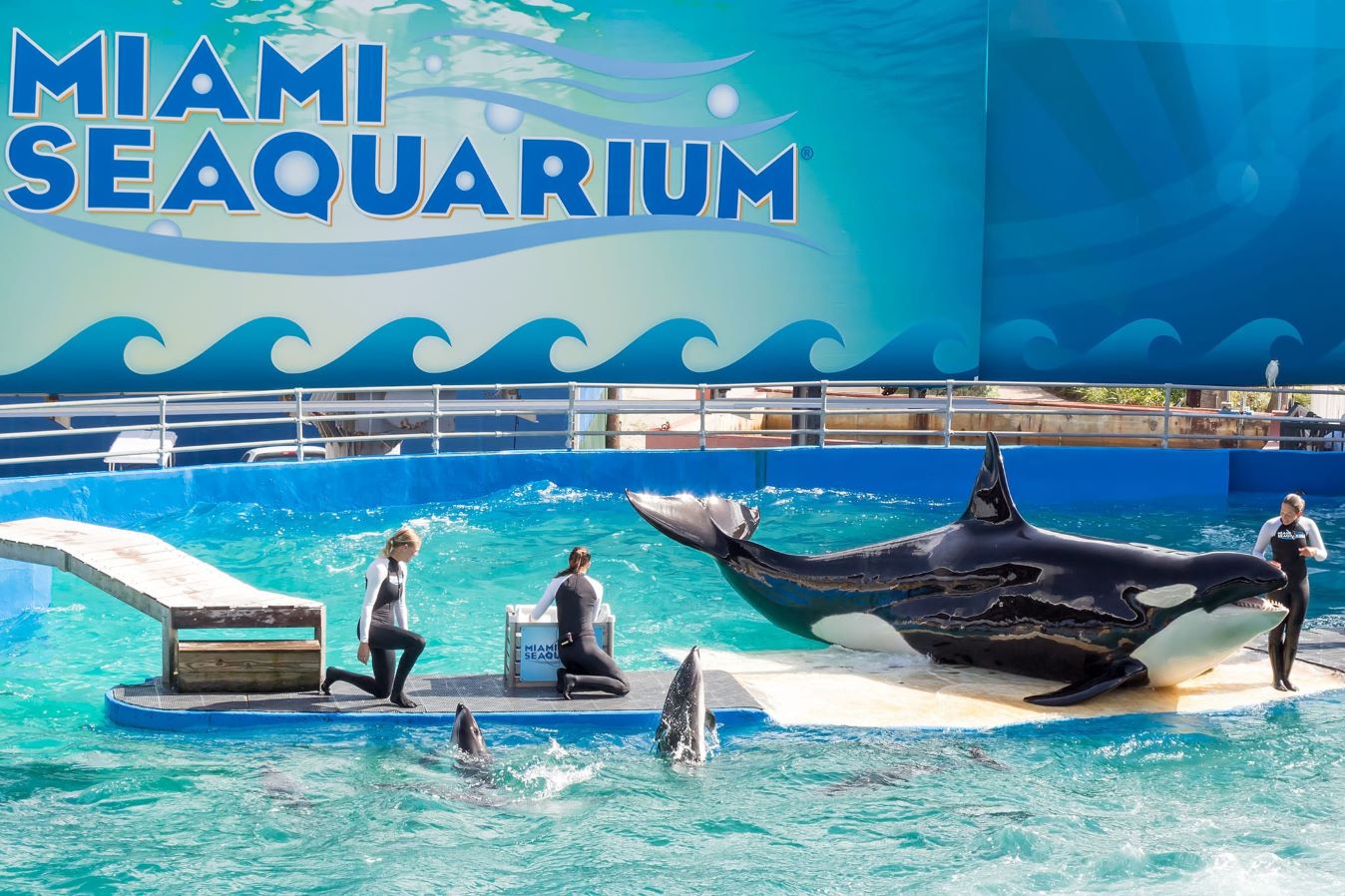 Miami Seaquarium