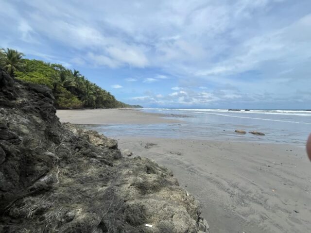 Rainforest-meets-Pacific-Ocean-Montezuma