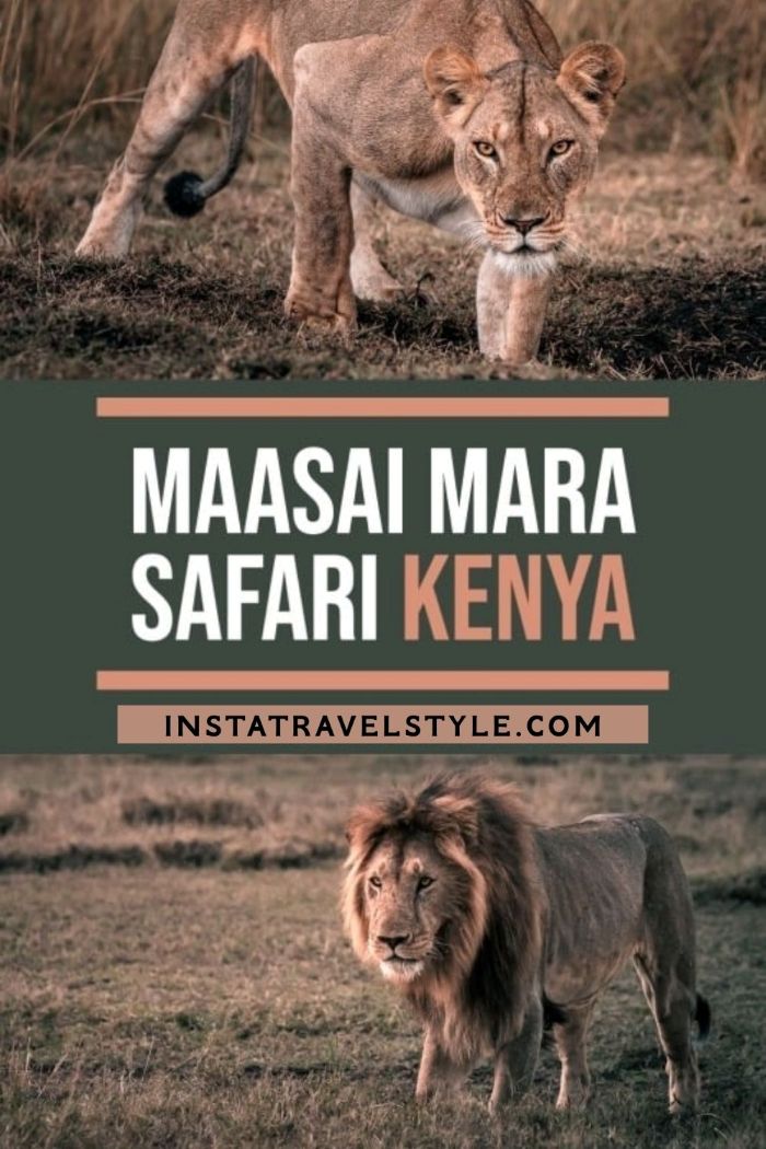 Maasai Mara Safari Guide Wildlife, Culture & Travel Tips