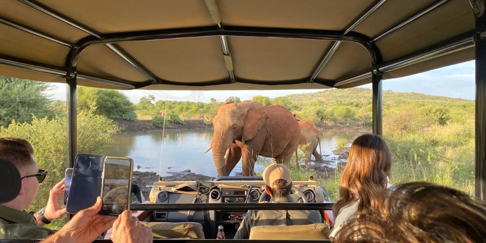 Ultimate-African-Safari-Guide-Tanzania-Safaris-Kilimanjaro-Climb-Zanzibar-Tour