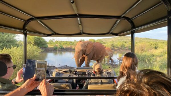 Ultimate-African-Safari-Guide-Tanzania-Safaris-Kilimanjaro-Climb-Zanzibar-Tour