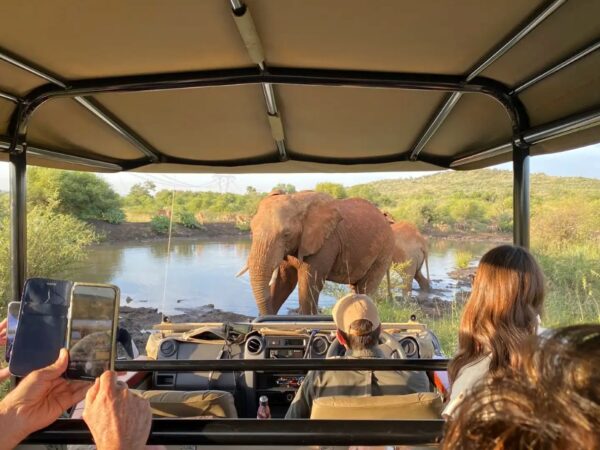 Ultimate-African-Safari-Guide-Tanzania-Safaris-Kilimanjaro-Climb-Zanzibar-Tour