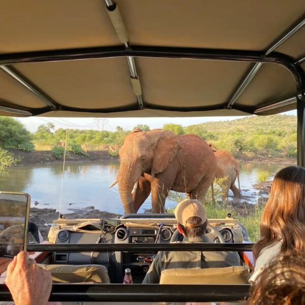 Ultimate-African-Safari-Guide-Tanzania-Safaris-Kilimanjaro-Climb-Zanzibar-Tour